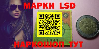 mdpv Славгород