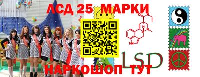 mdpv Славгород