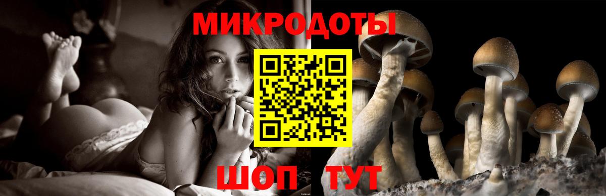 Псилоцибиновые грибы MAGIC MUSHROOMS  Галлюциногенные грибы мицелий  Нурлат  Вход с VPN 